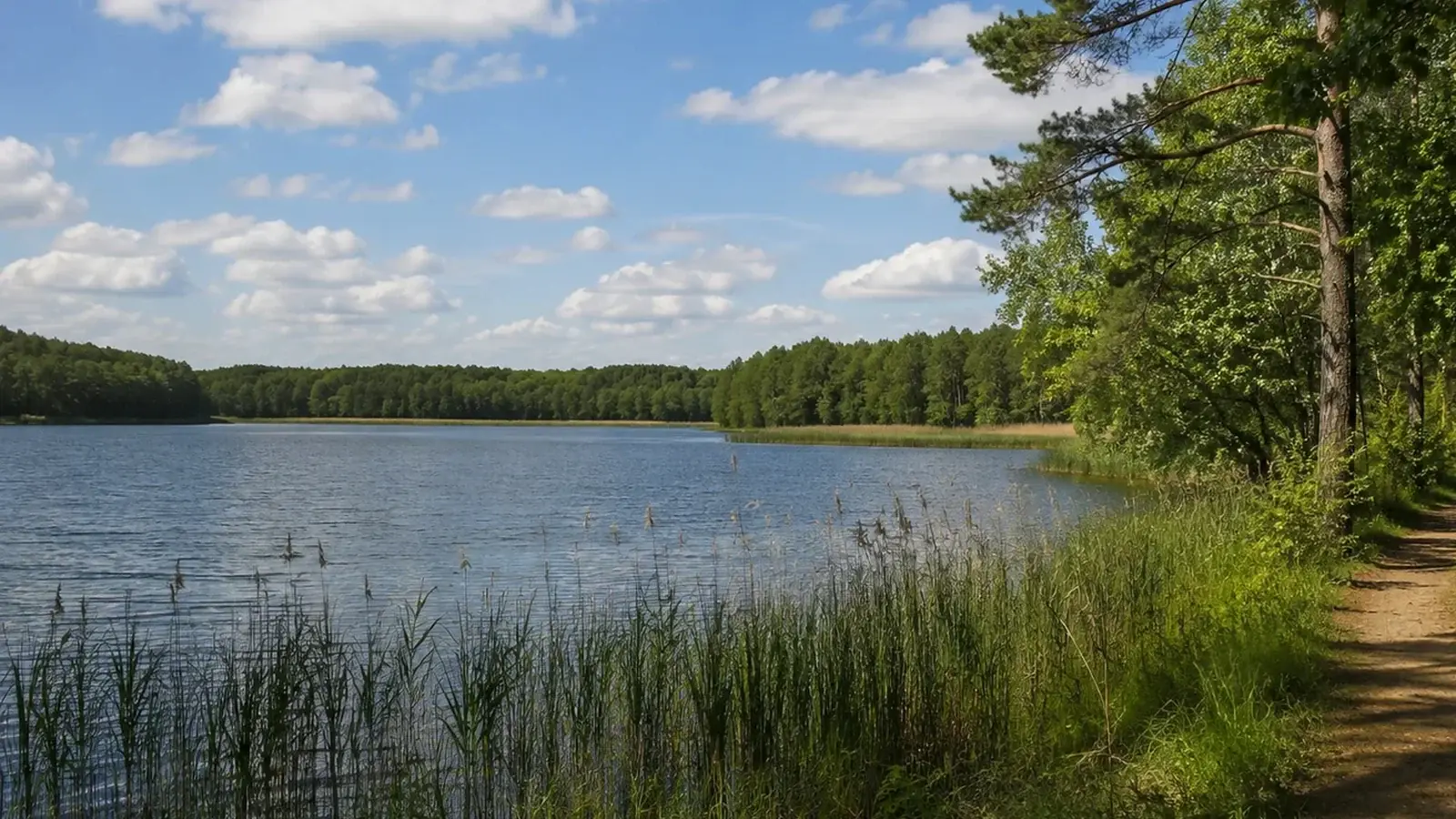 Lugn sjö med skogskant nära Berlin, en typisk miljö för bad och snorkling.